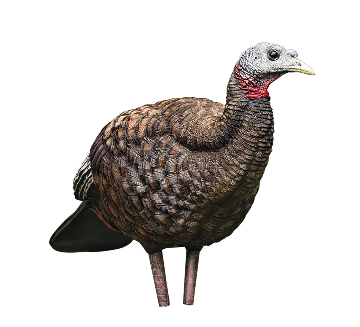 AVIAN-X LCD BREEDER HEN DECOY