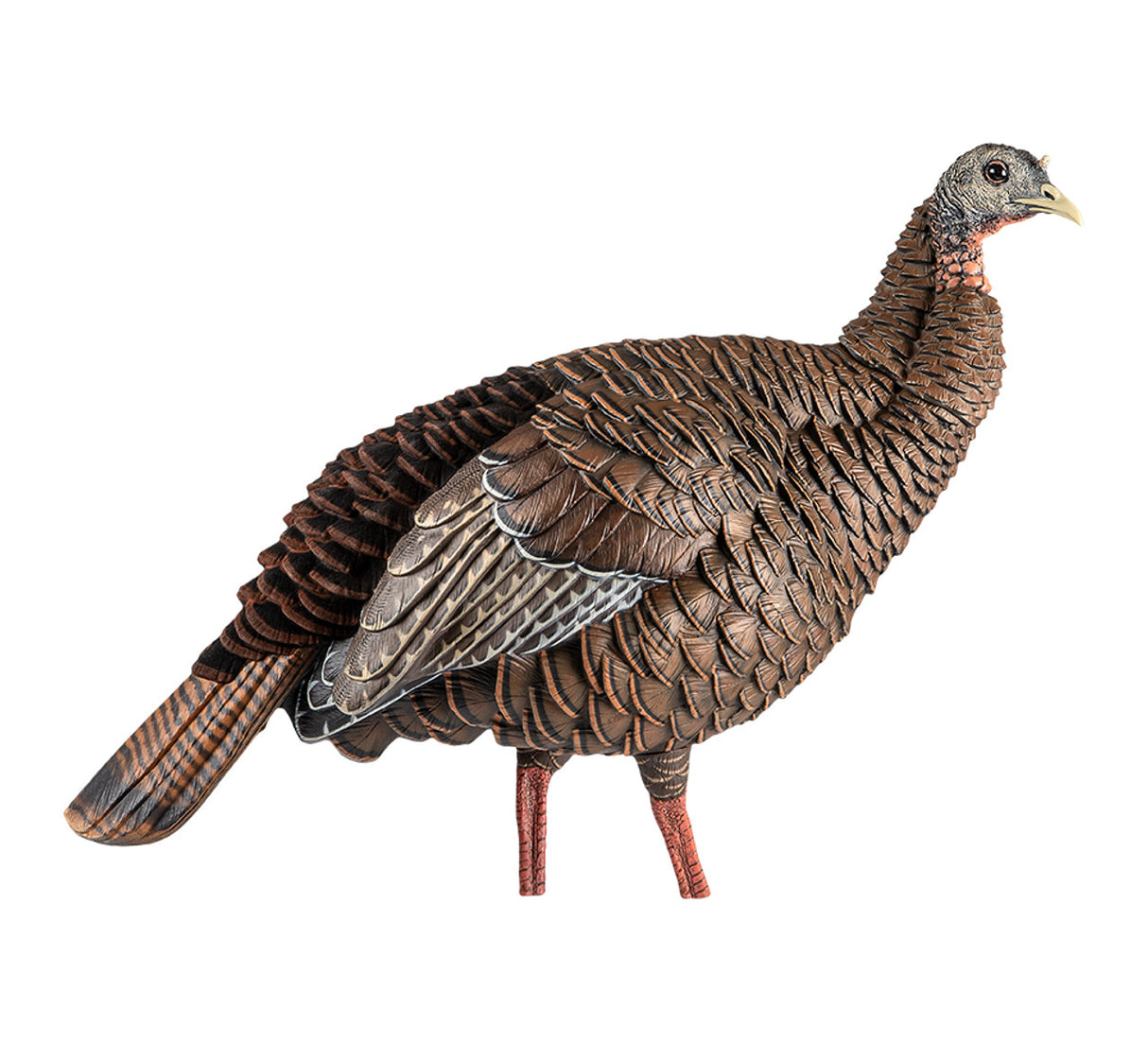 AVIAN-X HDR HEN DECOY