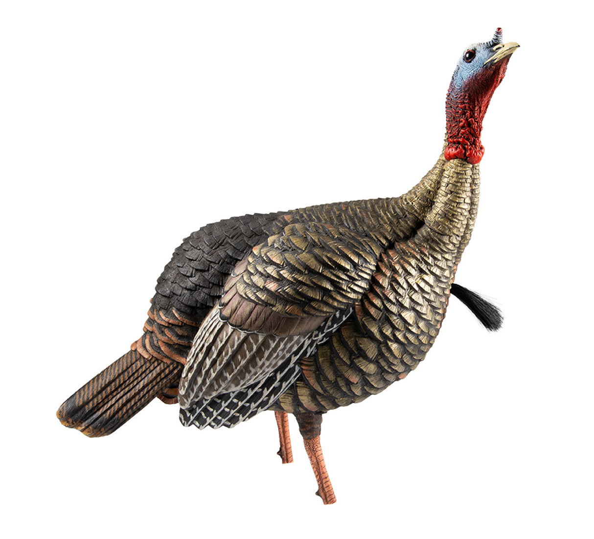 AVIAN-X HDR JAKE DECOY