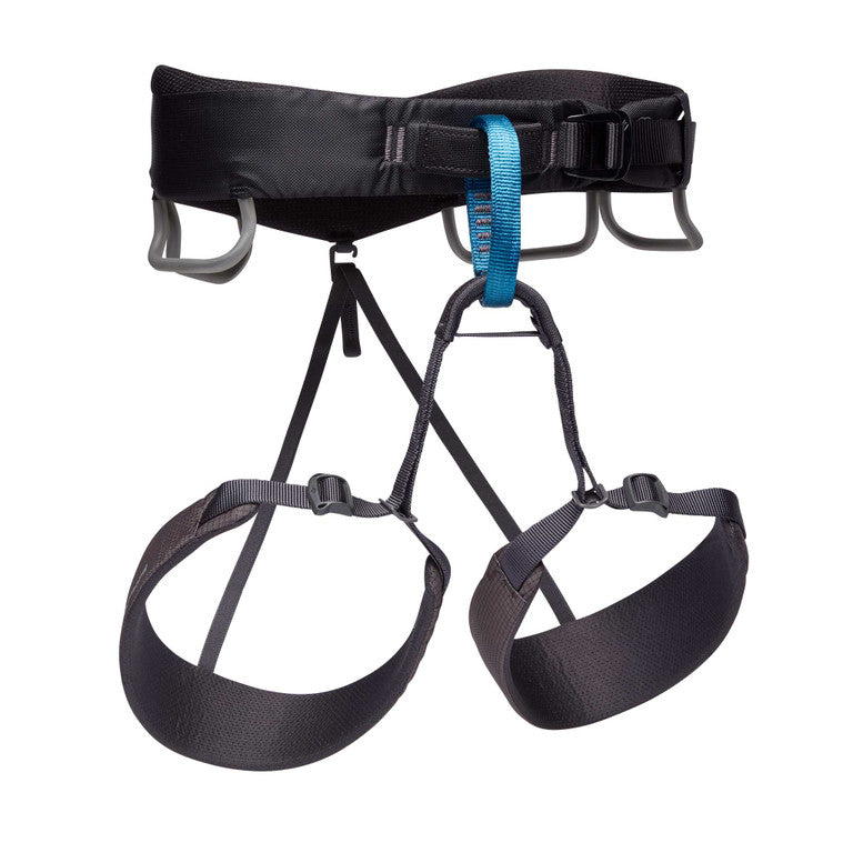 MOMENTUM HARNESS