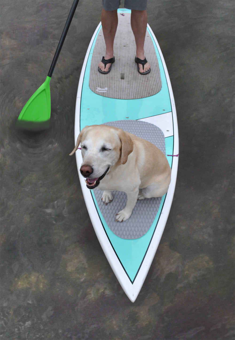 SUP DOG BOARD PAD