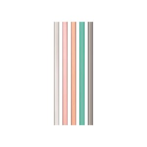 STRAW SET ACCESSORY, 5PC LARGE