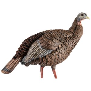 AVIAN-X HDR HEN DECOY