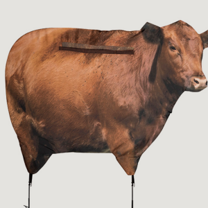 BIG RED MOO COW DECOY