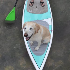 SUP DOG BOARD PAD